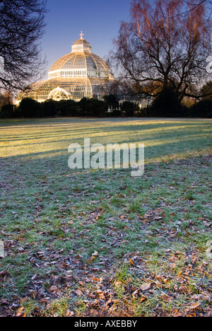 Virtical / Portrait photo de la Palm House Sefton Park, Liverpool Banque D'Images