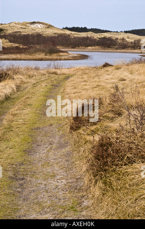 Petit lac dans le parc national de Schoorlse Duinen Ceci est la plus grande ligne de dunes aux Pays-Bas Banque D'Images