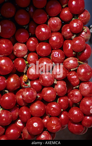 Paprikas rouges (poivrons), Hongrie Banque D'Images