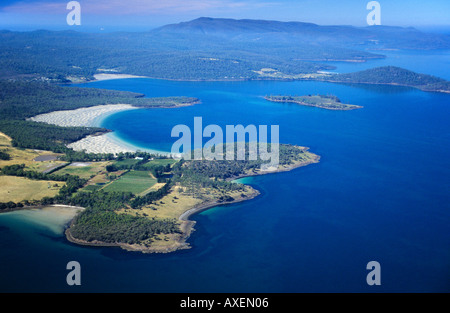 Littoral, Forestier, Tasmanie, Australie Banque D'Images