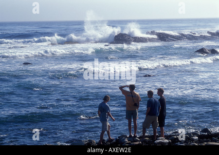 Les jeunes hommes Silhouette regardant vagues se briser contre les rochers Banque D'Images