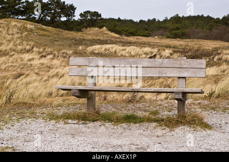 Un banc vide dans un paysage de dunes dans le parc national de Schoorlse Duinen, Schoorl, Pays-Bas Banque D'Images