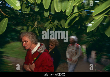 Dame visiteurs à Heligan Gardens à Cornwall, dodge sous les branches d'arbres. Banque D'Images