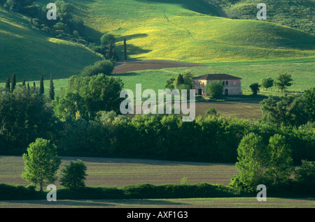 La maison rose dans la lumière du soir, entre Bollano et Buonconvento, au sud de Sienne, Toscane, Italie Banque D'Images