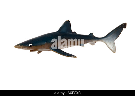 Requin bleu jouet sur fond blanc Banque D'Images