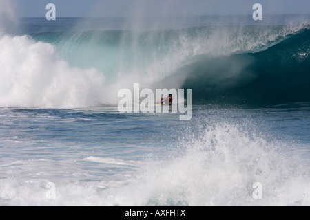 Des vagues énormes AU 'pipeline' WAIMEA,plage, CÔTE NORD, Oahu, Hawaii SURF AVENTUREUX ENCOURAGER Banque D'Images