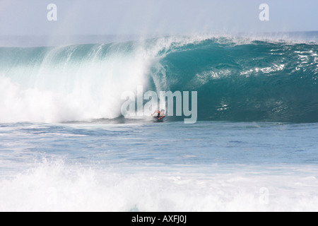 Des vagues énormes AU 'pipeline' WAIMEA,plage, CÔTE NORD, Oahu, Hawaii SURF AVENTUREUX ENCOURAGER Banque D'Images