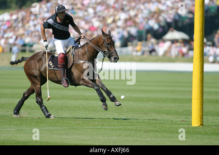 Finale de la Veueve Clicquot Polo Gold Cup à Cowdray Park Polo Club, l'ours noir rayures Juillet 2005 Banque D'Images