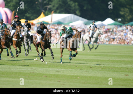 Finale de la Veueve Clicquot Polo Gold Cup à Cowdray Park Polo Club, l'ours noir à Dubaai Juillet 2005 Banque D'Images