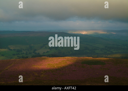 Aube lumière sur les collines de Stanage edge près de beeley Banque D'Images