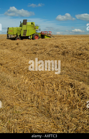 La récolte Derbyshire Angleterre english british UK GB EU Europe Banque D'Images