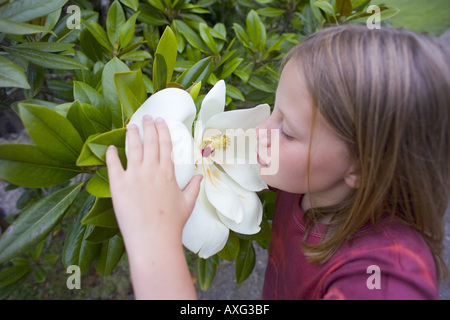 CORNWALL Royaume-uni 7 8 9 ANS ENFANT FILLE FLEUR DE MAGNOLIA GRANDE ODEUR ODEUR DE PARFUM PARFUM D'ESSENCE DE PLANTES JARDIN Beauté exotique NATURE SAUVAGE Banque D'Images