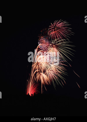 Silhouettes de regarder les gens d'artifices, explosions aériennes Banque D'Images