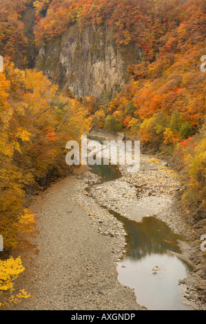 Nukabira River, Hidaka, Hokkaido, Japon Banque D'Images