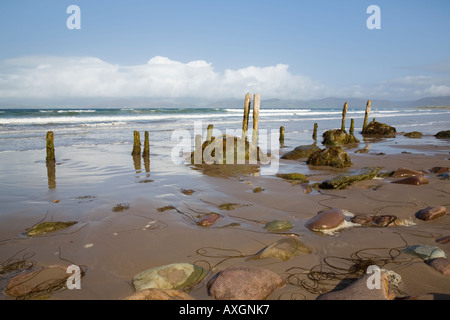 Poteaux de bois et des pierres sur le sable humide sur la plage vide de Rossbeigh Strand Ross County Kerry Eire Irlande Europe Banque D'Images