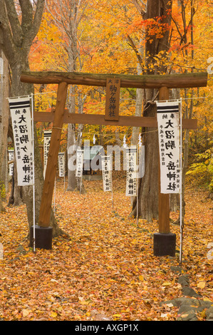 Torii, Onuma Parc Quasi-National, Hokkaido, Japon Banque D'Images