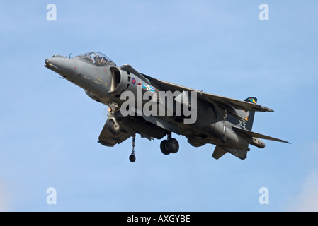 Royal Air Force BAe Harrier GR7 passe au Royal International Air Tattoo 2005 Banque D'Images