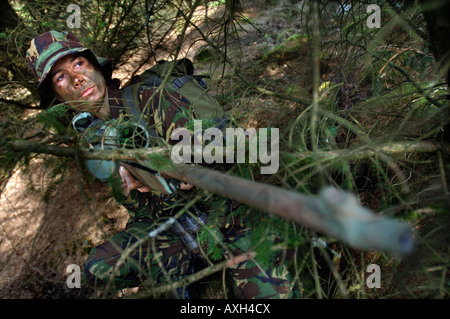 Recruter des femmes de l'ARMÉE BRITANNIQUE SE PRÉPARE UN TIR SUR UNE TIGE AU COURS D'UNE FORMATION EN COURS DE TIREUR BRECON AU PAYS DE GALLES Banque D'Images