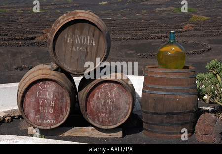 Barils en dehors de bodega en la région viticole de la Geria sur Lanzarote dans les îles Canaries. Banque D'Images