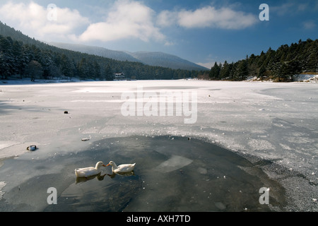 Frozen Lake Golcuk en hiver, Aldag Bolu Turquie. Banque D'Images