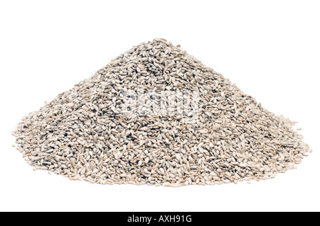 Pile de coeurs de tournesol Banque D'Images