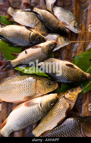 Photographie de stock de poissons frais dans le marché à Nyaungshwe près du lac Inle au Myanmar 2006 Banque D'Images