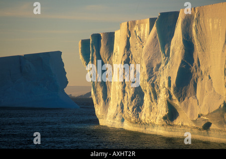 Les icebergs, au crépuscule, en mer de Weddell, l'Antarctique Banque D'Images