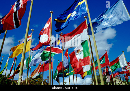 Drapeaux des pays membres lors de la Conférence générale à l'UNESCO, Paris, France Banque D'Images