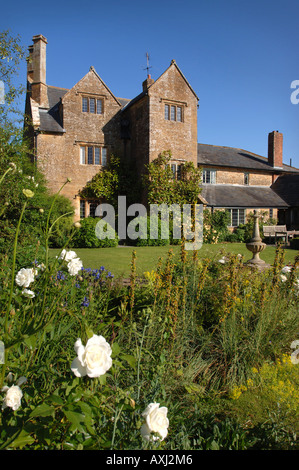 ROSE ICEBERG À MANOR FARM PAR SOMERSET GARDEN DESIGNER SIMON JOHNSON UK Banque D'Images