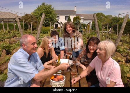 Bénéficiant d'UNE FAMILLE DANS LEUR VIN VINEYARD UK Banque D'Images