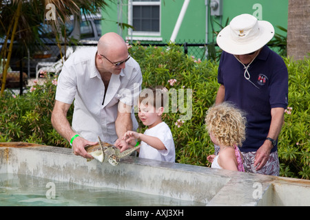 Enfants à la touch tank à Cayman Turtle Farm sur Grand Cayman Iles Caïmans Banque D'Images