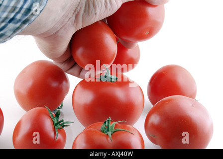 À la tomate boo sb Banque D'Images