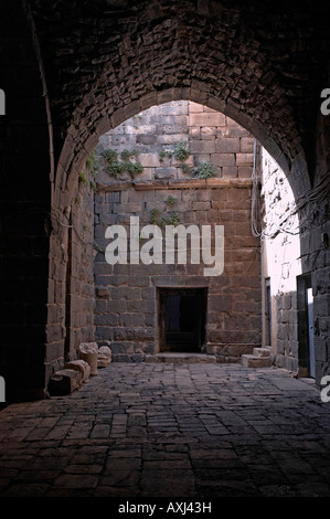 Bosra Syrie à l'intérieur du fort Ayyubid Banque D'Images