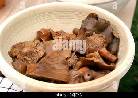 Prêt pour les champignons de manger. Banque D'Images