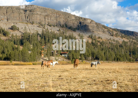 Kirkwood valley california 2 Banque D'Images