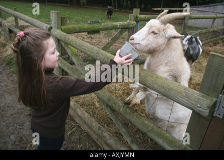 Petite fille nourrir une chèvre à la ferme Banque D'Images