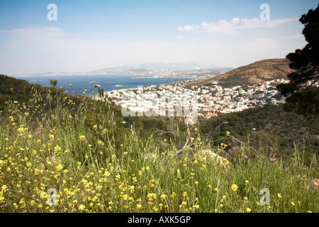 Fleurs de Printemps jaune vert sur la conservation de la réserve naturelle située au-dessus de Saronida en Attique ou Atiki Grèce Banque D'Images