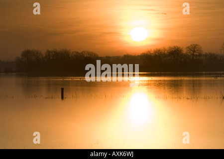 Lever de soleil sur l'eau de l'inondation sur le Somerset Levels près de Muchelney Banque D'Images