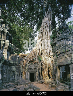 L'une des nombreuses ruines couvertes par strangler fig à Ta Prohm, Camboda Banque D'Images