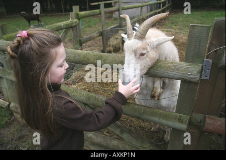 Petite fille nourrir une chèvre à la ferme Banque D'Images