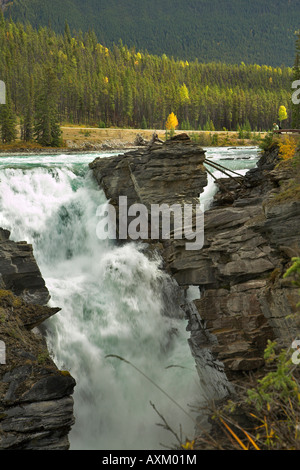 Athabasca Falls dans un canyon profond dans le nord du Canada Banque D'Images