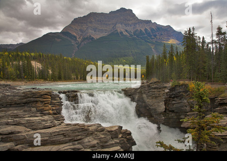 Athabasca Falls dans un canyon profond dans le nord du Canada Banque D'Images