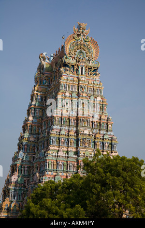 Un gopuram, Temple Meenakshi, Madurai, Tamil Nadu, Inde Banque D'Images