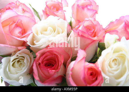 Bouquet de roses de couleurs différentes Banque D'Images