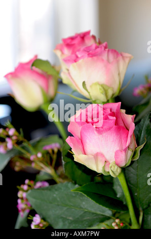 Trois Roses Banque D'Images