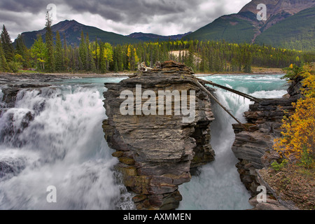 Athabasca Falls dans un canyon profond dans le nord du Canada Banque D'Images