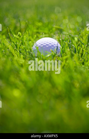 Balle de golf dans l'herbe verte longue à l'extérieur Banque D'Images