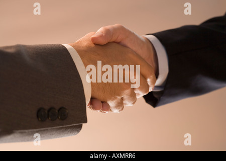 Deux businessmen shaking hands Banque D'Images