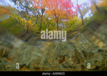 Image fractionnée d'eau douce naturel le printemps et l'automne feuillage Seoraksan Parc national de la province de Gangwon en Corée du Sud Banque D'Images