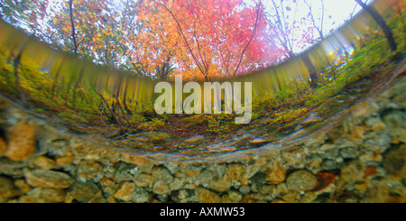 Image fractionnée d'eau douce naturel le printemps et l'automne feuillage Seoraksan Parc national de la province de Gangwon en Corée du Sud Banque D'Images